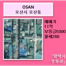 오색공인중개사사무소 이미지