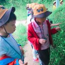 한울숲유치원 이미지