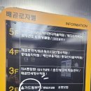 로하네일 이미지