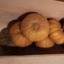 상한농장 이미지