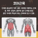 토니바디PT용마점 이미지