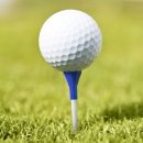 (주)나이스트리 이미지