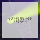 애견이야기 이미지