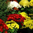 사람이 꽃보다 아름 이미지