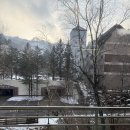 휘닉스파크 | 휘닉스파크 스키장 초보 슬로프 후기