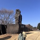대박화원 | 아이와 함께 가기 좋은 '제주 돌문화원' 내돈내산 후기♥