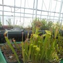 예진농장 이미지