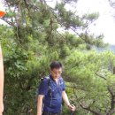 비봉길 Daum카페