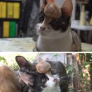 종운농장 이미지