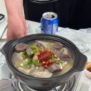 룡제원