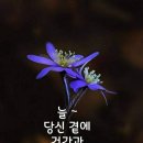 "'청계천' 일부(다산교~배오개다리) 걷기"＜2022.04.05(화)＞ 이미지