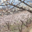 송철수농장 티스토리