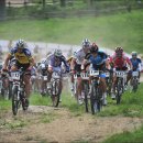 산악자전거경기장 이미지