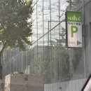 리오동물병원 | [시험관#11] 송파마리아 시험관 난자 채취 및 동결 결과(3일 배양 4개), 이식 준비 시작 💊