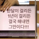 시골생통돼지 | Mar