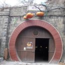 ■청도여행《淸道》CHEONGDO■(특산) 겨울에 떠나는 여행지. &#39;와인터널&#39;