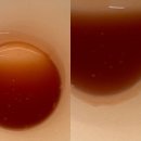 슈퍼베리 | 온 가족이 함께 즐기는 15가지 슈퍼 베리 블렌드 레스맥스 후기