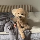 S동물병원 이미지