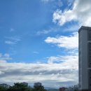 서판교로 이미지