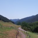 동산비사벌 이미지