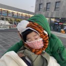 올레민박 이미지