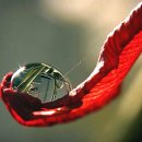 하늘바람 이미지