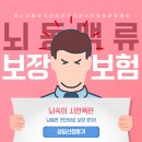 [보험] 뇌속의 시한폭탄 뇌동맥류 보장하는 보험을 알아보신다면 바로 여기! 이미지