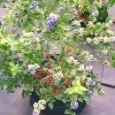 액비골(2) 이미지