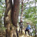 용산2리 이미지