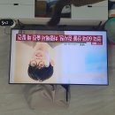 영덕 지역 산불 사망자 9명으로 늘어 이미지