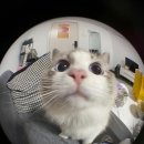 KEEP IT REAL 이미지