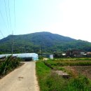 용산-435 이미지