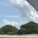 거북이PC(인-465호) | 필리핀 보홀 호핑투어 예약 보홀트래블 업체 발리카삭 거북이 스노쿨링 후기