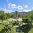 (주)경인메디칼 이미지