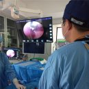 가디언 동물의료센터 이미지