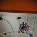 한옥별장 이미지