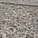 태양마을 이미지