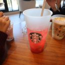 폴바셋 부산대연DT점 이미지