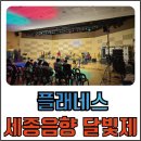 플래네스 네이버블로그
