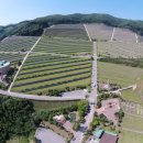 춘천안식공원 이미지