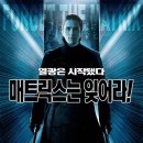 SF농장 셀럽미디어