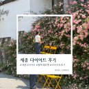 [내돈내산] 세종 지방분해 주사 후기｜팔뚝 제로팻 다이어트 솔직 리뷰