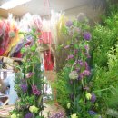 성전2호 이미지