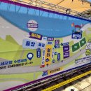 해양 | 2026 거제여름해양축제 후기