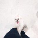 주견야독 이미지