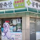 공항 동물병원 이미지