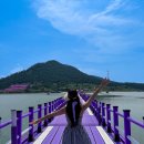 반월도퍼플펜션 | 전남 신안 여행 가볼만한곳 신안 퍼플섬 박지도 반월도 퍼플교 가는길 입장료 주차장