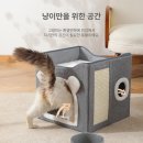 이층집고양이 이미지
