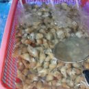 구룡포1번지수산 - 114312 | 구룡포1번지수산