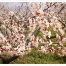 섬지뜰농장 이미지